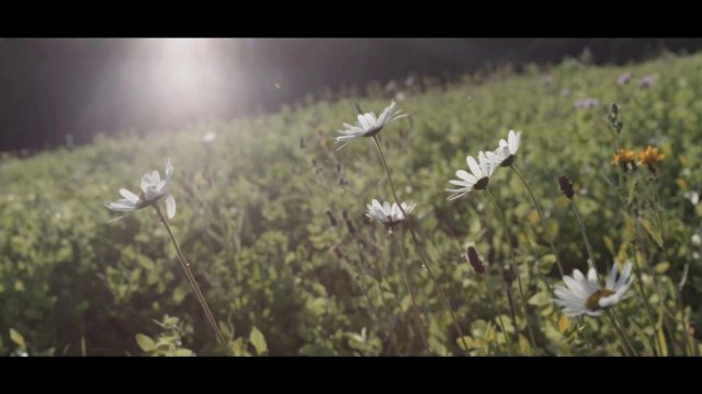 АО "Сорбент": UNIX - делаем труд безопасным
